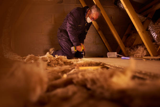 Best Eco-Friendly Insulation in Beaver Dam, AZ